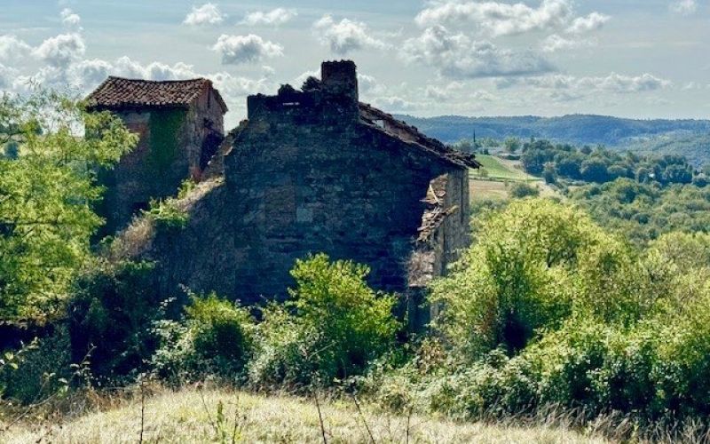 1507 - ANCIEN MANOIR ET SA TOUR TRES ANCIENNE PARTIE XV e SIECLE, RUINES,  SUR PLUS DE 11 HA , A RESTAURER ENTIEREMENT, A FIGEAC (LOT)